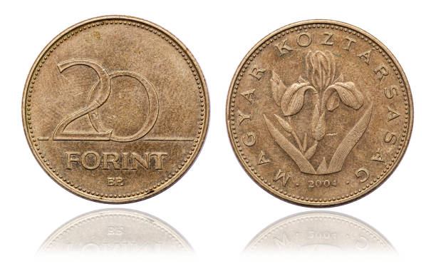 istock Coin 20 Hungarian Forints. 2004 1294405898