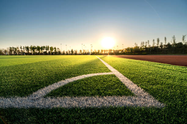 spielfeld - soccer field soccer grass green stock-fotos und bilder