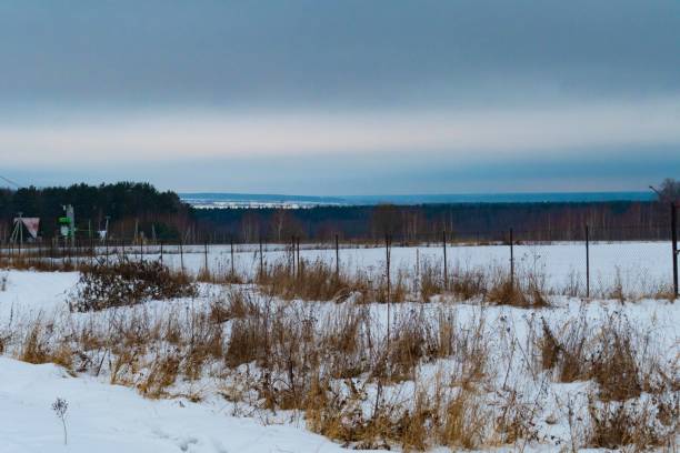 istock The field in winter snow-covered in Russia 1294412899