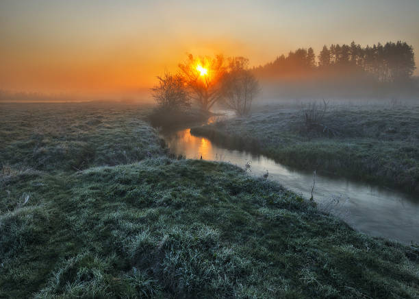 istock Beautiful spring sunrise over river banks 1294417009