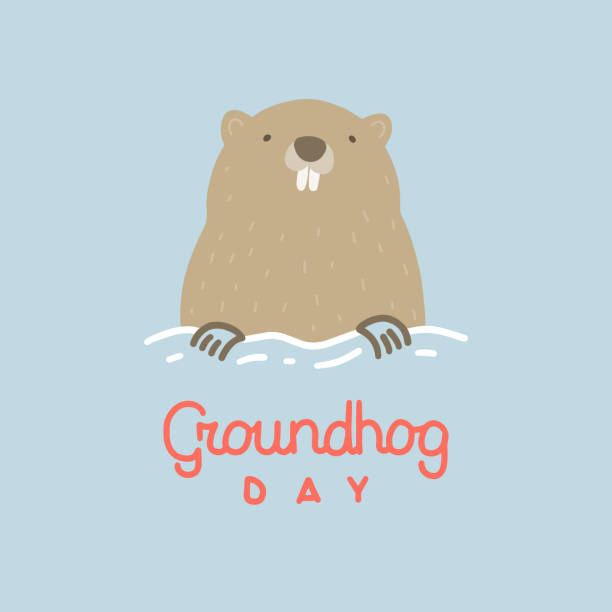 Vector illustration on the theme of Groundhog Day on February 2. Decorated with a lettering and Groundhog. groundhog stock illustrations