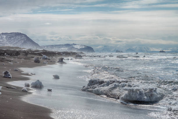 The Pacific coast with ice blocks. stock photo