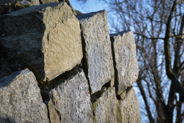 zbliżenie z nieregularnej kamiennej ściany z drzewem w tle - stonemade zdjęcia i obrazy z banku zdjęć