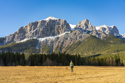 A woman is walking the dog in Quarry Lake Park in late autumn season sunny day morning. Snow capped Mount Rundle mountains in the background. Canmore, Alberta, Canada.
