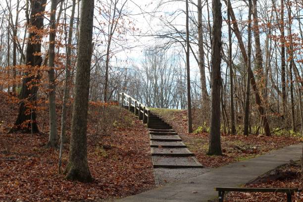 istock Gravel Pathway in the Forest 1294425132