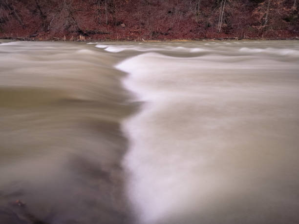 istock Full-flowing mountain river in the Carpathian Mountains 1294427563
