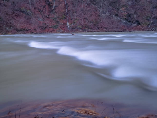 istock Full-flowing mountain river in the Carpathian Mountains 1294427575