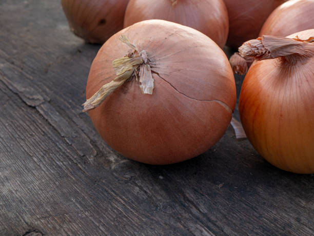 istock Fresh onions on wooden background 1294428381