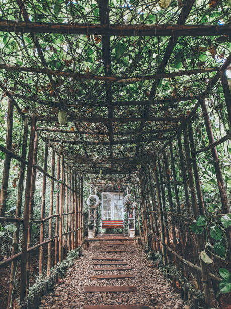 istock Green Sweet Garden 1294429000