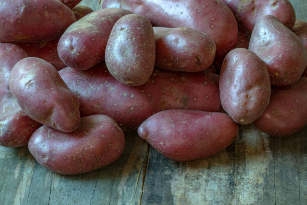 czerwone ziemniaki na tle starych drewnianych desek - raw potato red potato red nutrient zdjęcia i obrazy z banku zdjęć