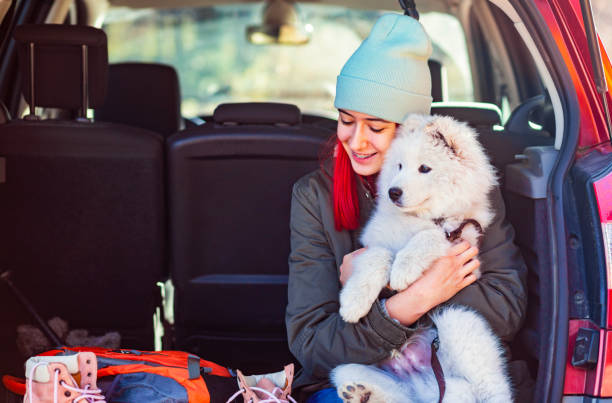 istock In adventure with the best friends 1294430815