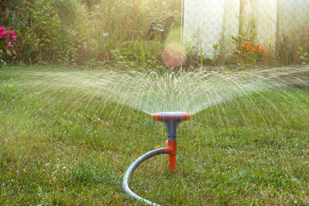 istock Watering system - garden watering technique. Backlighting accentuates the flying drops. Selective focus. Watering the lawn. In move. 1294432756