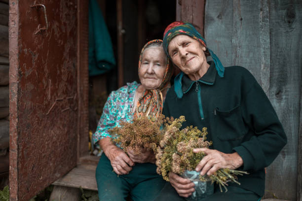 Two senior sisters sits near their obsolete hut at old farm Two Russian senior women (relative, sisters) are sitting together on the doorstep of the old hut with bouquets of a crown dill flowers in hands russian ethnicity stock pictures, royalty-free photos & images