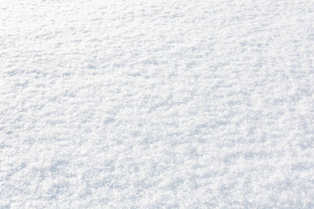 istock Fresh clean snow background, illuminated by the side sun. 1294433502