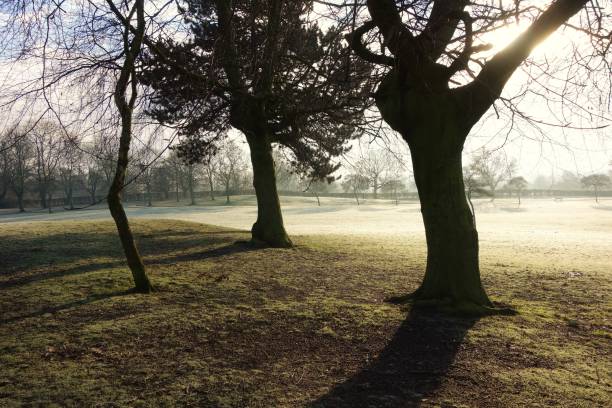 istock Winter In The Park. 1294436398