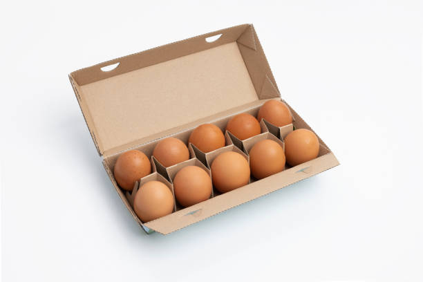 Egg, Human Egg, Remote Location, Natural Condition