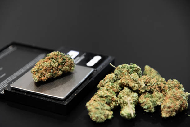istock Cannabis buds and other smoking utensils 1294438967