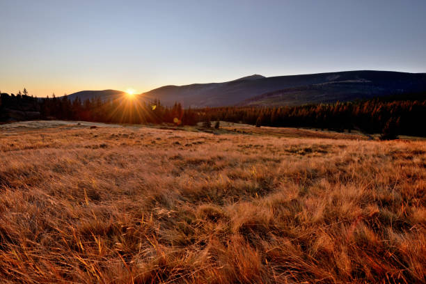 istock Sunrise in the mountains. 1294440077