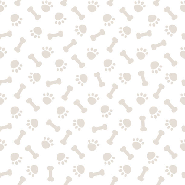 ilustraciones, imágenes clip art, dibujos animados e iconos de stock de patrón gris sin costuras con patas de perro y huesos - dog