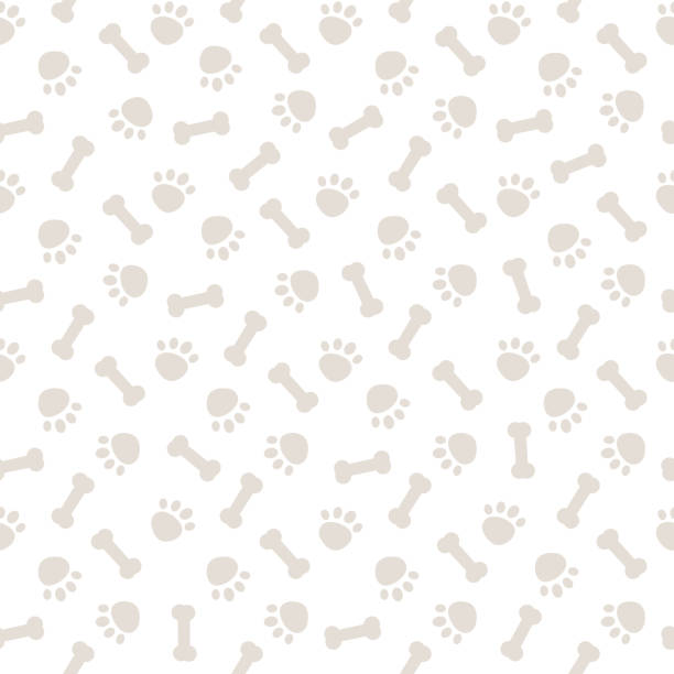 bezszwowy szary wzór z psimi łapami i kośćmi - kość stock illustrations