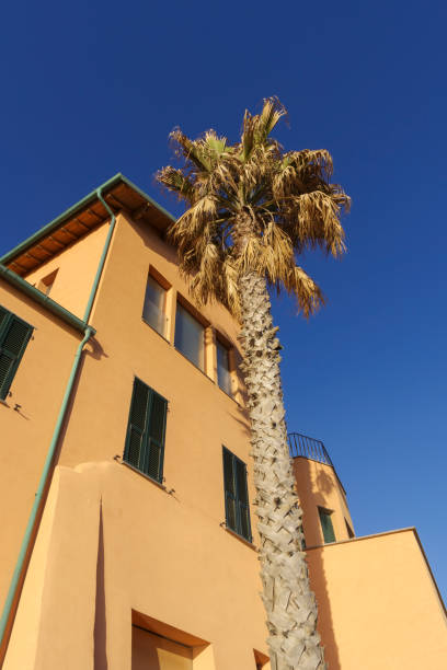 istock Colours of Italian ancient architecture 1294441077
