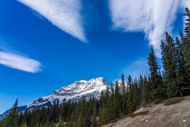 istock Forest and snow-covered mountain. Blue sky and white clouds in the background. 1294442699
