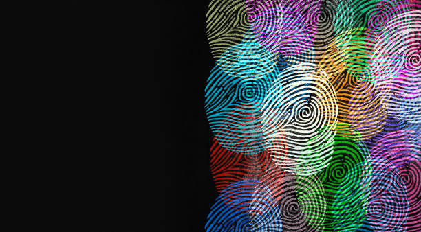 Diverse Identity Diverse identity and privacy concept or personal private data symbol as finger prints or fingerprint icons and diversity census population in a 3D illustration style. personal data photos stock pictures, royalty-free photos & images