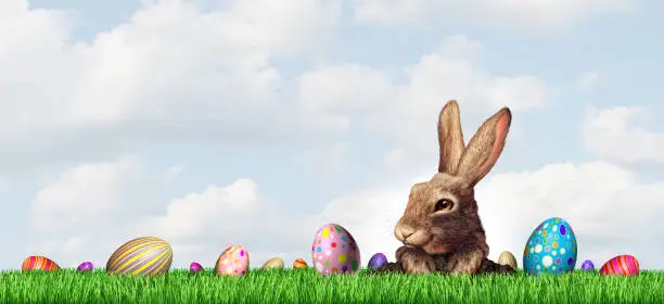 Easter and spring season or April festive seasonal background with a bunny rabbit and decorated eggs with 3D render elements.
