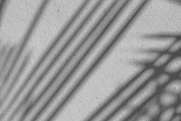 istock Black and White abstract background texture of shadows leaf on a concrete wall. 1294445179