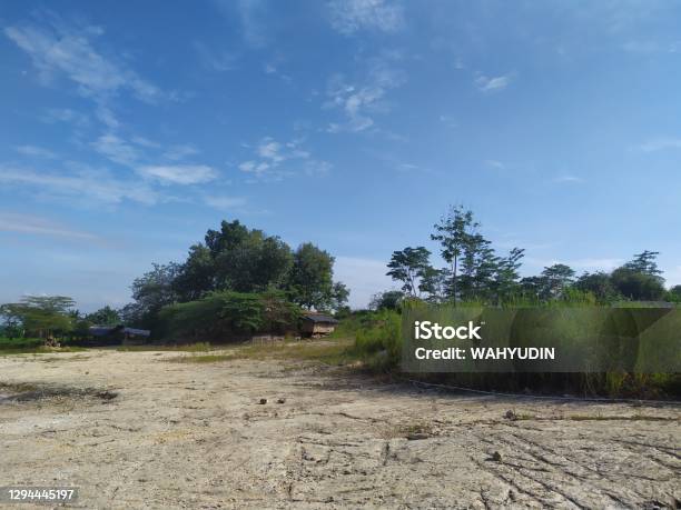 Photo Of A Limestone Cliff Which Is Located In Klapanunggal Village Bogor Regency West Java Province Here There Are Alsin Stock Photo - Download Image Now