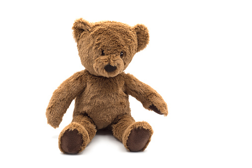 vintage teddy bear sitting on white background