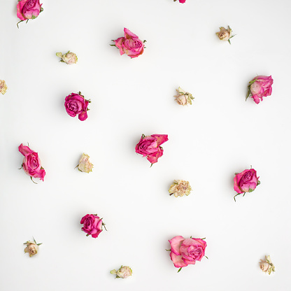 Repetition of small pastel pink and pink roses on white background.