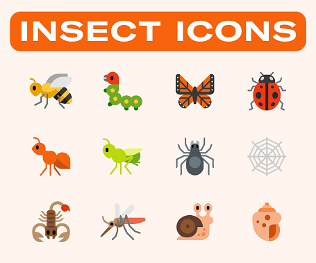 Insects vector illustrations icons set. Isolated bee, worm, butterfly, ladybug, ant, grasshopper, spider, scorpion, mosquito, snail, shell symbols. Poisonous insects vector collection