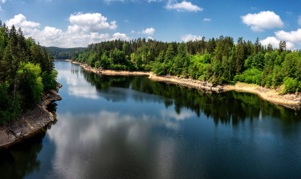 summerimpressions of ottensteiner stausee in waldviertel, austria - woods reflection famous place standing water imagens e fotografias de stock