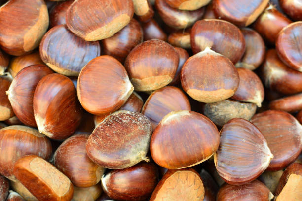 istock chestnuts at the market 1294449768