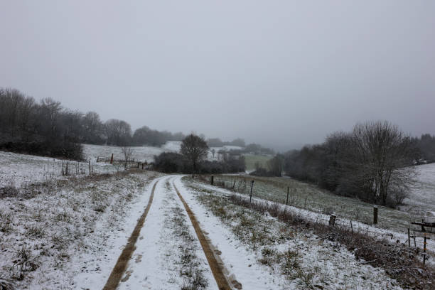 istock Fields and meadows on a frosty winter morning 1294451832