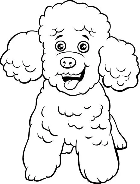 Vector illustration of poodle toy dog cartoon animal character coloring book page