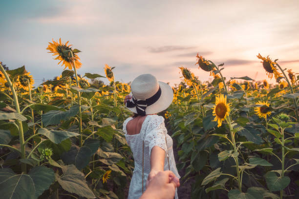 mujer de belleza en vestido blanco sosteniendo las manos una pareja en el campo de girasol por la noche - sunflower landscape flower field fotografías e imágenes de stock