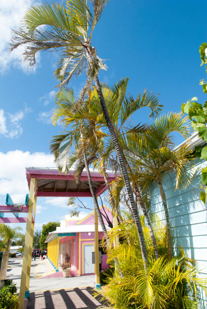 istock Grand Bahama Island Tourist Village 1294463607