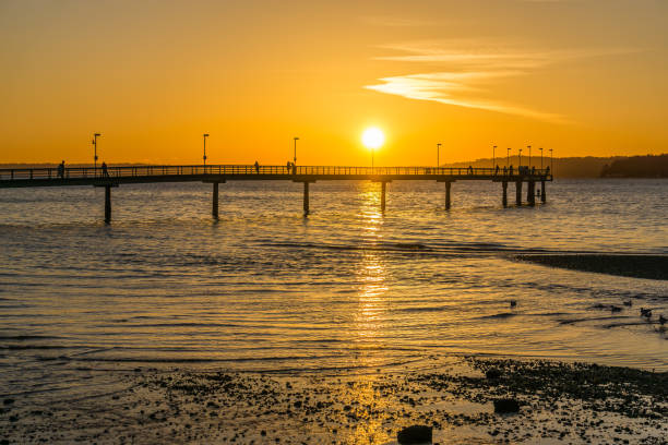 istock Pier And Golden Sky 3 1294465668