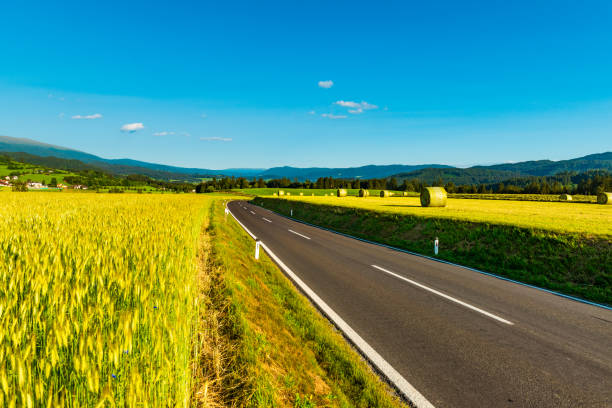istock An empty road between agricultural fields leading to the mountains. Austrian rural landscape 1294472825