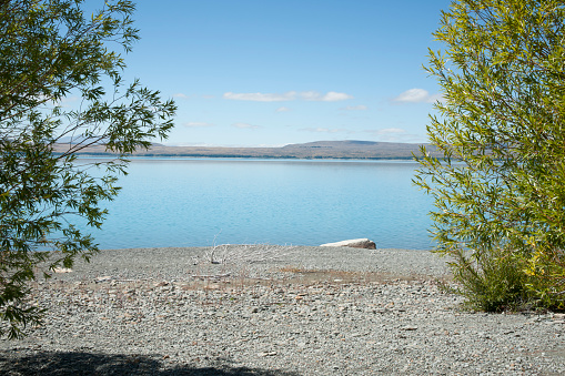 Green foliage and grey stony lake edge and turquoise blue water of snow feed scenic Lake Pukaki in South Ilsand New Zealand.