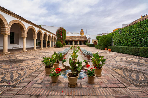 ogród na dziedzińcu pałacu viana w kordobie, hiszpania - marquises zdjęcia i obrazy z banku zdjęć
