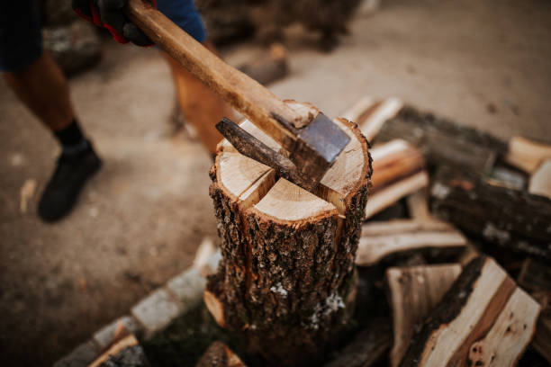 A rustic axe resting on a wooden surface next to a circular wood slice, showcasing natural textures and earthy tones