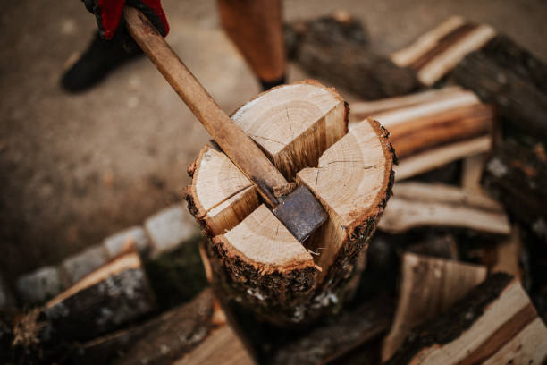 Close up of firewood splitting on four Close up of firewood splitting on four axe stock pictures, royalty-free photos & images