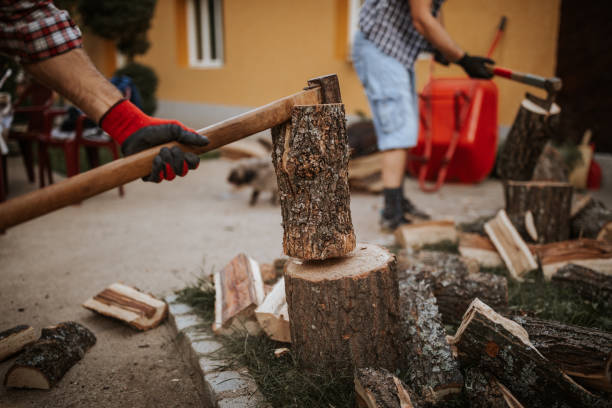 istock Midsection of cutting wood with axe 1294477148
