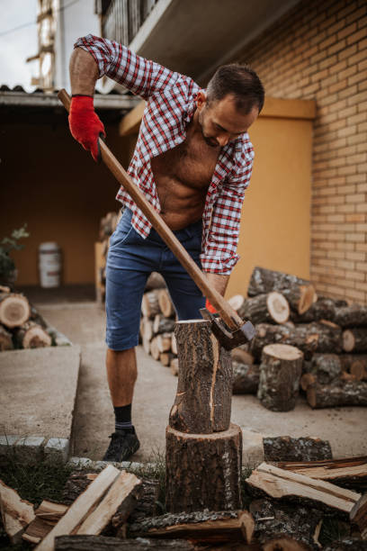 istock Young man chopping the wood 1294477337