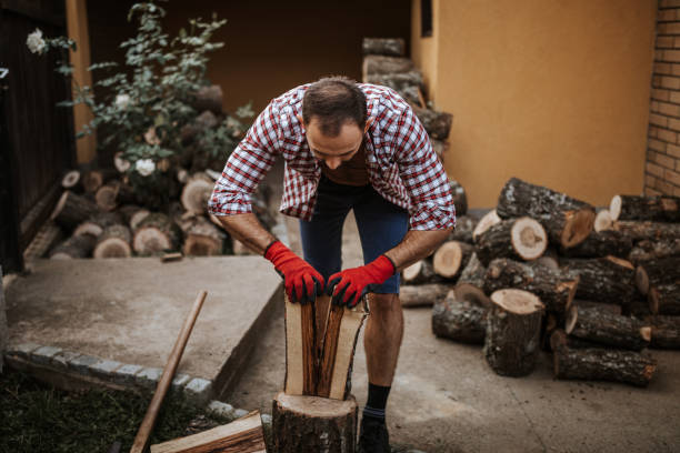 istock Young man trying to split wood in half 1294479381