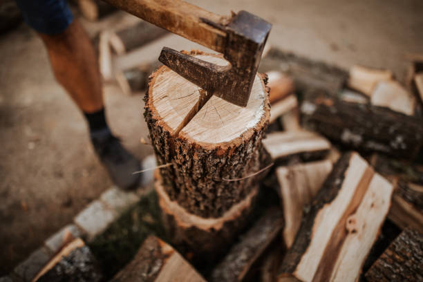 istock Midsection of cutting wood with axe 1294480716