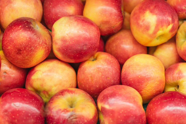 istock Bunch of Red Apples 1294483022
